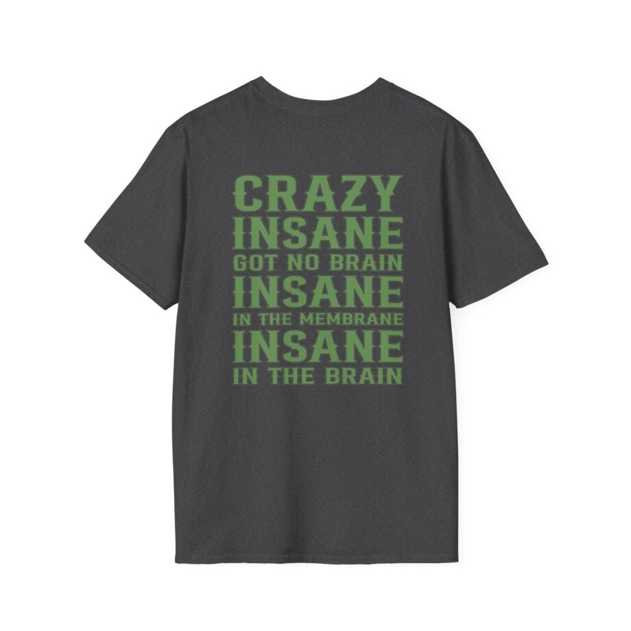 Cypress Hill Crazy Insane OG Skull N Compass Unisex Softstyle T-Shirt
