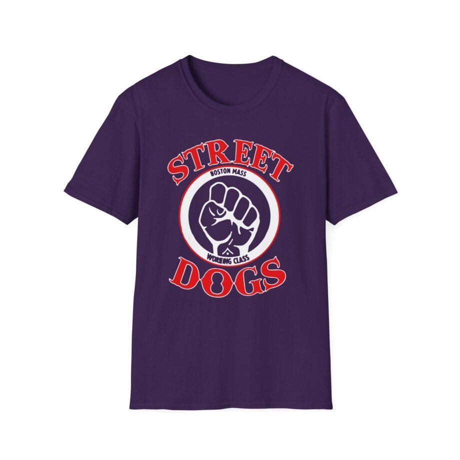 Boston Mass Unisex Softstyle T-shirt