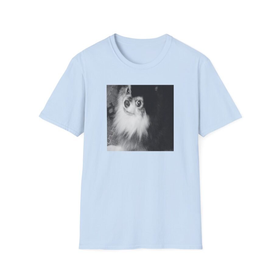 BTS Unisex Softstyle T-Shirt