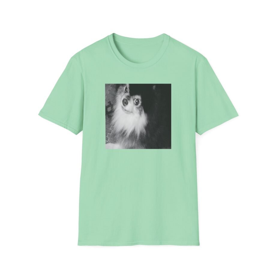 BTS Unisex Softstyle T-Shirt