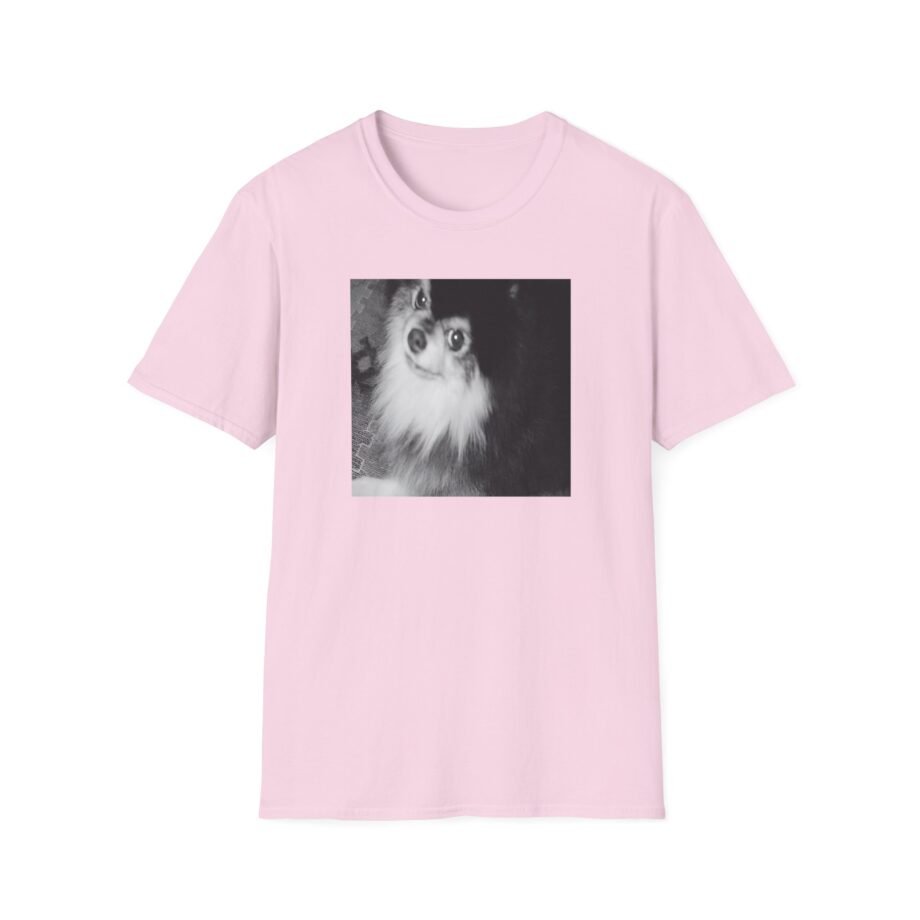 BTS Unisex Softstyle T-Shirt