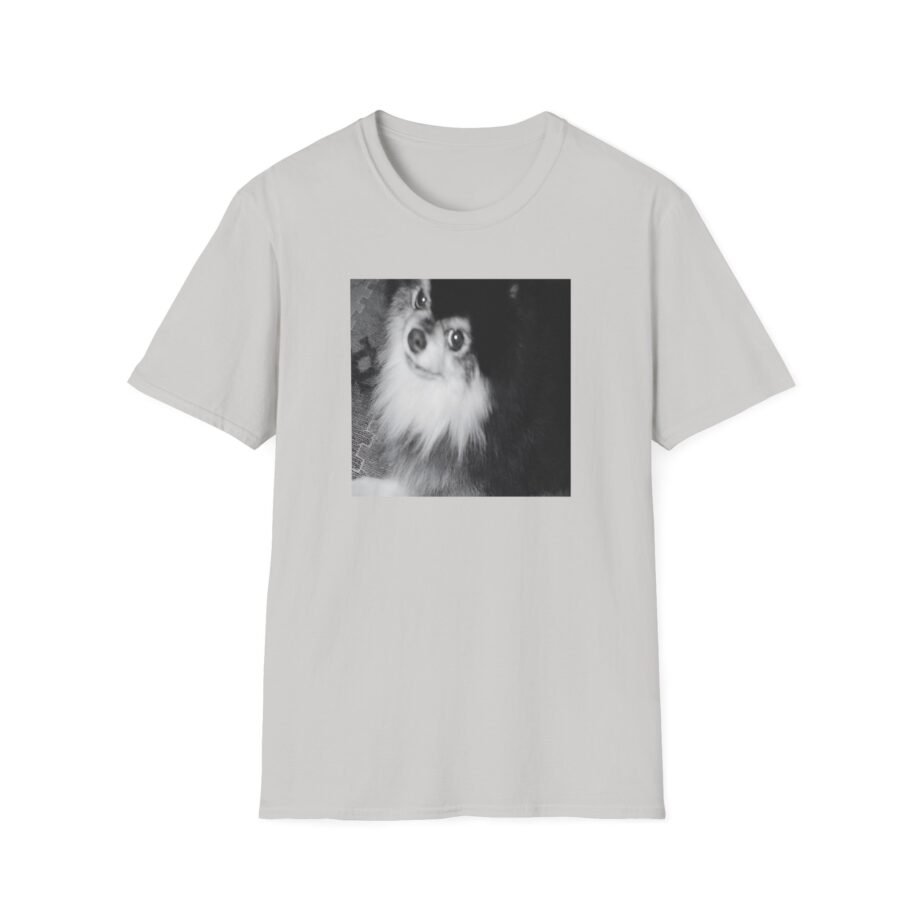 BTS Unisex Softstyle T-Shirt