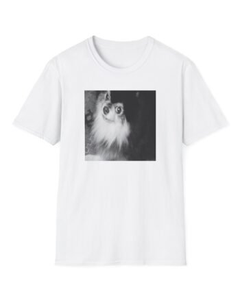 BTS Unisex Softstyle T-Shirt