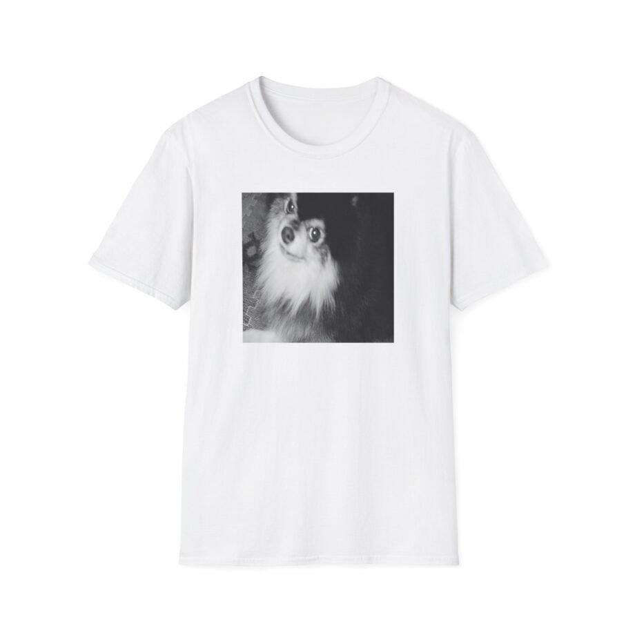 BTS Unisex Softstyle T-Shirt