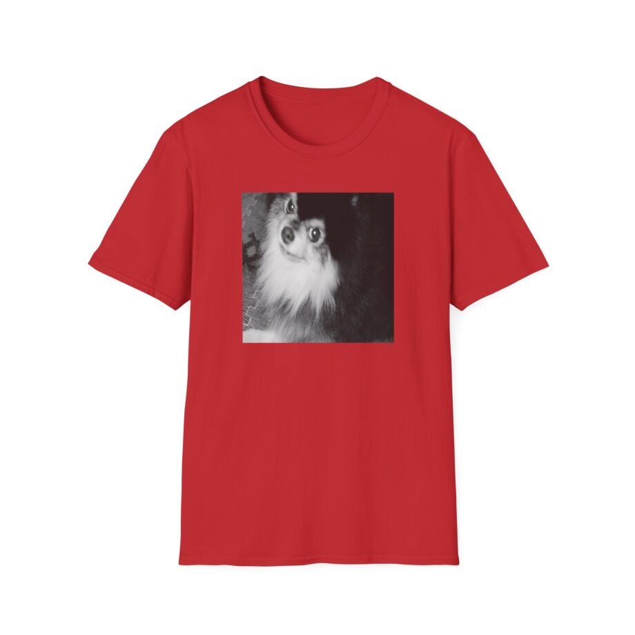 BTS Unisex Softstyle T-Shirt