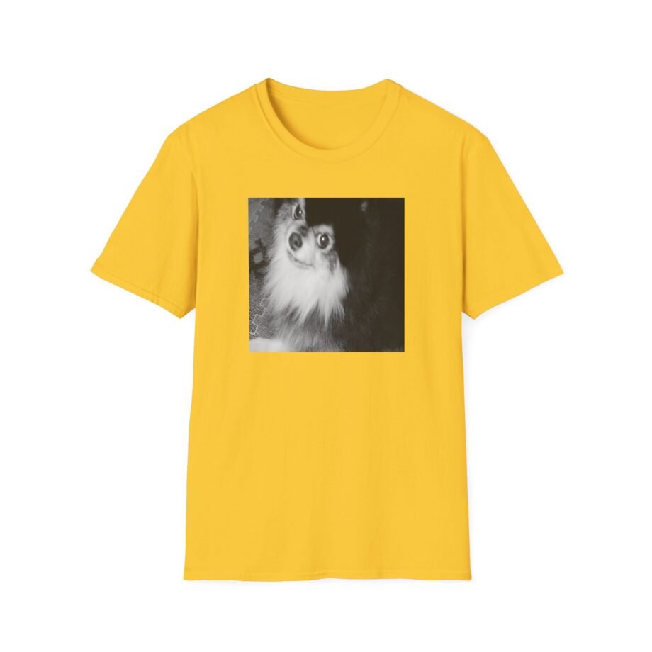 BTS Unisex Softstyle T-Shirt