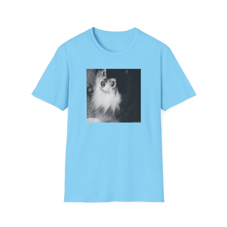 BTS Unisex Softstyle T-Shirt