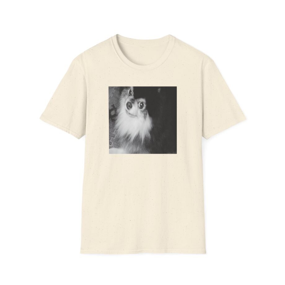 BTS Unisex Softstyle T-Shirt