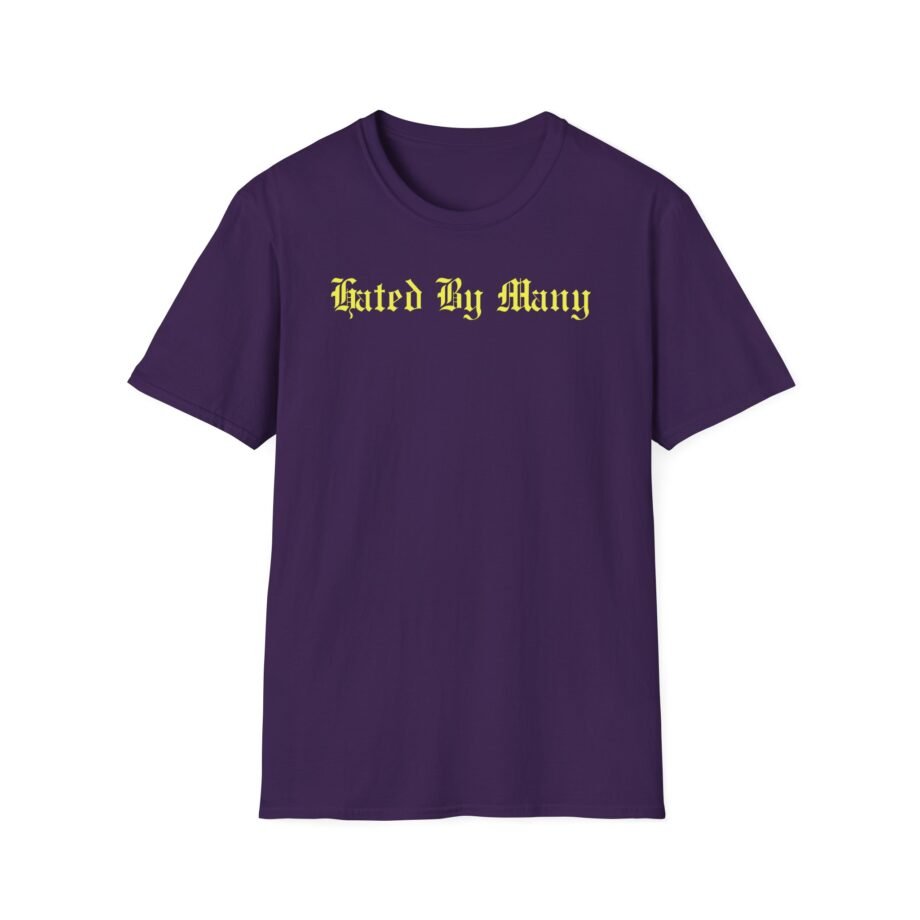 Twin Paranormal Unisex Softstyle T-shirt